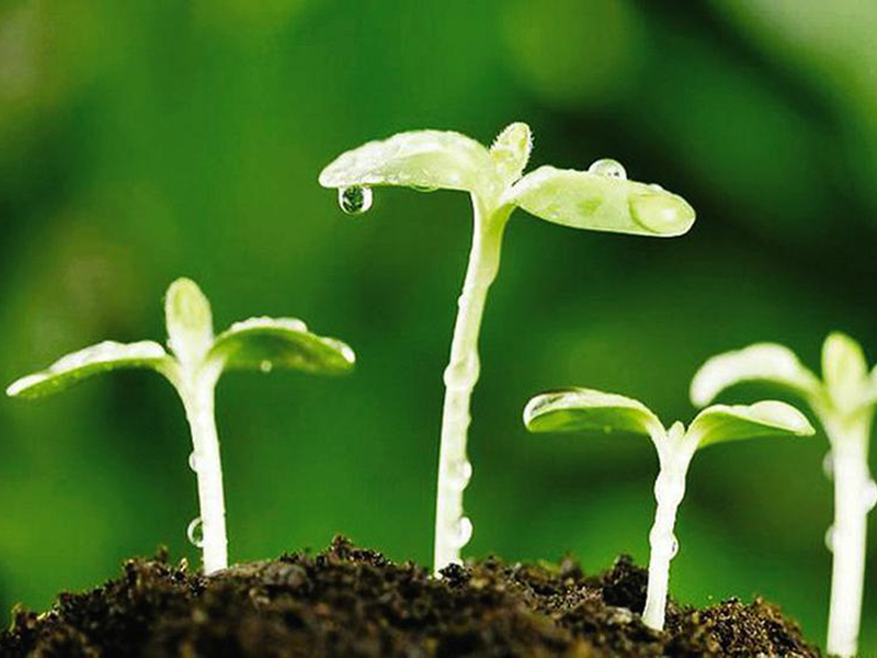 新置种子脱?；褂米⒁馐孪?></div>                   <div   id=